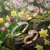 Spring LINGER