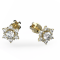 Dámské zlaté náušnice 011